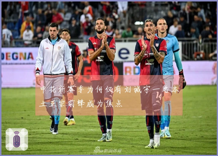 申花新赛季为何仅有刘诚宇一名本土正宗前锋成为焦点