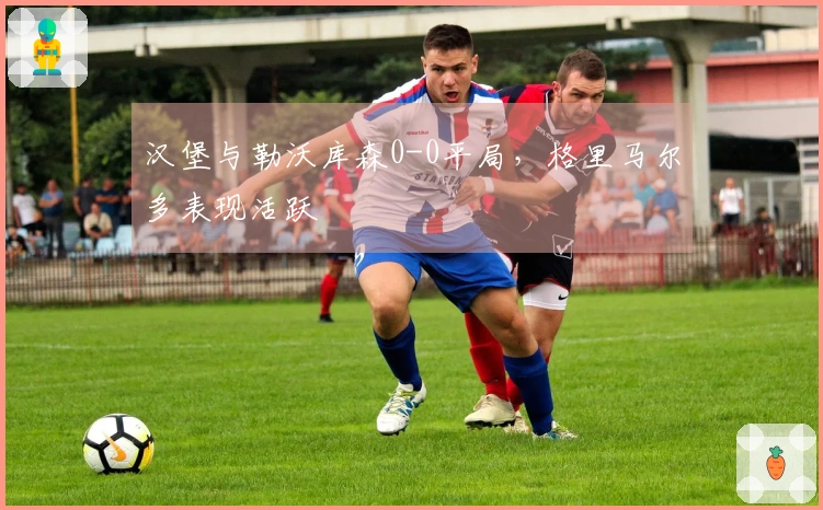 汉堡与勒沃库森0-0平局，格里马尔多表现活跃