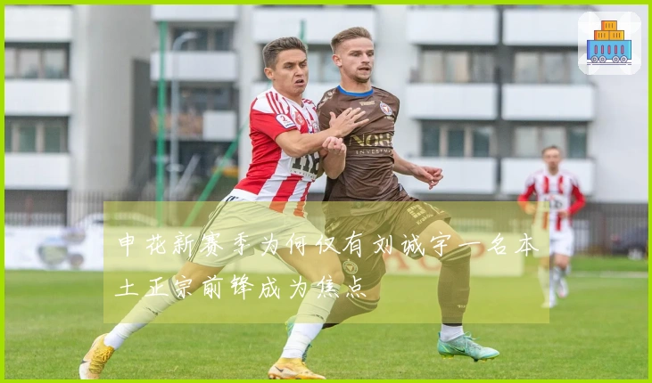 申花新赛季为何仅有刘诚宇一名本土正宗前锋成为焦点